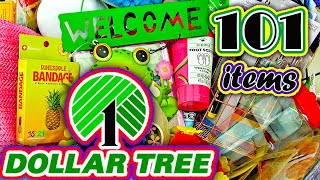 NEW 101 VERY USEFUL Items from DOLLAR TREE: Decorations, Creams, Pens, Wipes, Socks, Pads, Organizer