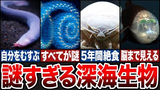 現代科学でも解明できない深海生物の謎7選【ゆっくり解説】