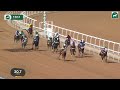 taif racing season meeting no 16 race no 1