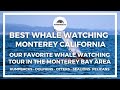 Best Whale Watching  Monterey California - Our Favorite Whale Watching Tour in The Monterey Bay Area