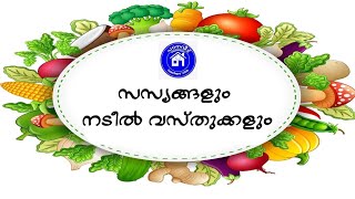 സസ്യങ്ങളും നടീൽ വസ്തുക്കളും#PLANTS AND PLANTING PARTS