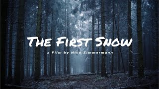 Der erste Schnee im Nationalpark Schwarzwald | cinematic video 4K