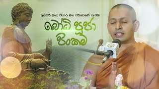 අස්ගිරි මහ විහාර මහ පිරිවෙණේ පැවති බෝධි පූජා පිංකම | Bodhi pooja Asgiri pirivena