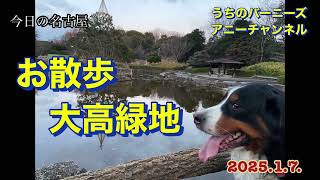 今日の名古屋 お散歩 大高緑地　2025.1.7.