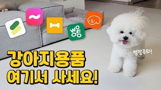 저는 강아지용품 여기서 끝냅니다! 반드시 알아야 하는 강아지 쇼핑몰 5가지