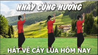 Nhảy cùng hướng - Hát về cây lúa hôm nay - Khiêu vũ Mai Lương - Học nhảy dân vũ