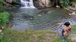 The moment highland boy Duong suddenly caught many fish in a small stream