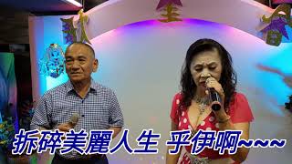 蝴蝶夢字幕劉瑩珊+蔡東正机明佐