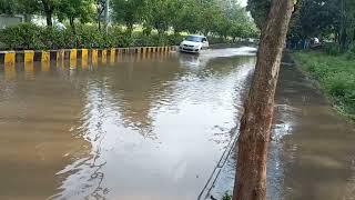 Baramati rainfall pani pani#baramati #rain