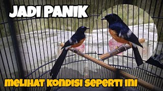 KONDISI SEPERTI INI TAK PERLU PANIK