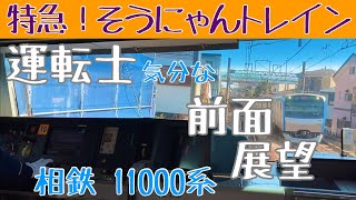 特急運用! 八代目そうにゃんトレイン 運転士気分になれる 前面展望動画【相鉄 11000系】