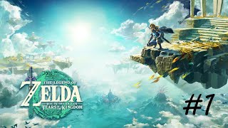 [닌텐도] 젤다의 전설 왕국의 눈물 #1 The Legend of Zelda: Tears of the Kingdom