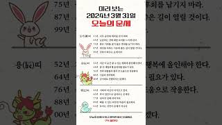 미리 보는 2024년 3월 31일 띠별 오늘의 운세 #개띠 #돼지띠 #말띠