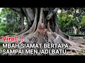 Gempar !! Dikira Batu Ternyata Orang Bertapa Yang Lagi Viral Di Jawa Timur