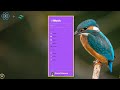How to Create Sidebar in REACTJS |  Dashboard sidebar  in REACTJs + Tailwindcss 2022 |