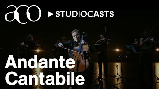 Tchaikovsky's Andante Cantabile | Timo-Veikko Valve | Cello | Australian Chamber Orchestra