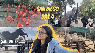 চলুন ঘুরে দেখাই বাঙালির চোখে সান ডিয়েগো জু | SAN DIEGO ZOO