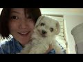 vlog.4 오늘의화훈 ✔️별거없는 일상 직장인 일상 직장인브이로그 연차로그 연희동카페 lodge190 연남동 카페 레이어드 비오는 수요일 청담오아시스