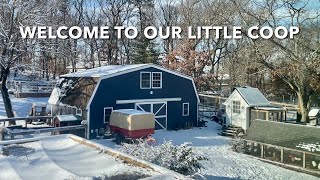 Homesteading on a Small Property - Our Little Coop