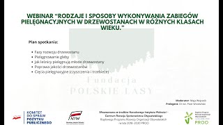 Rodzaje i sposoby wykonywania zabiegów pielęgnacyjnych w drzewostanach w różnych klasach wieku