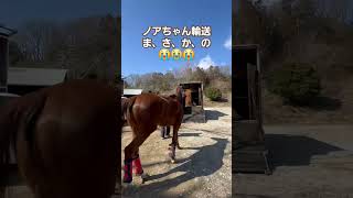 【2025.02.26】さぁ、競技場へ！！のあちゃん、まさかの乗車拒否！😭(詳細はコメント欄)　