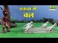 एकता में बल है कहानी | Hunter and Pigeons | Ekta Mein Bal Hai HINDI Kahaniya for Kids - KidsOneHindi