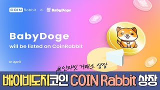 [속보] 베이비도지 BABYDOGE 또다시 거래소 상장!! 바이낸스 언제까지 버틸래?