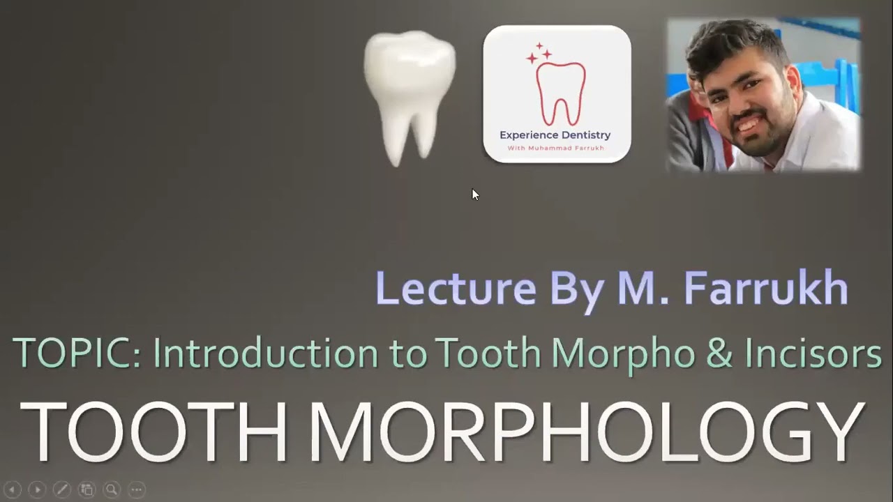 Lecture 1 Tooth Morphology Introduction Part 1 Toothmorphology