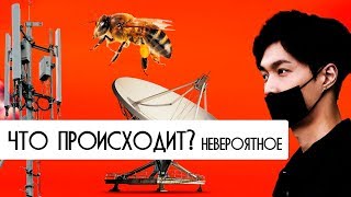 Что происходит? Невероятное. Почему умирают пчёлы?