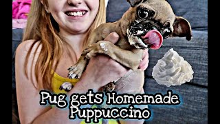 Pug gets a Puppuccino | Homemade Puppuccino | SunnyGirls puppy