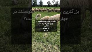 تنها کشوری که پرچم آن مربع است!🇨🇭 | اطلاعات عمومی و دانستنی 📚 #facts #ترند #اطلاعات_عمومی #دانستنی