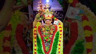 #muruganthunai #subscribemychannel #thiruchendur #murugan #shortvideo #tamil