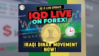 💥Iraqi Dinar Moment Now Live On Forex Today 2024 💥 Iraqi dinar on forex 💥 iqd dinar rates