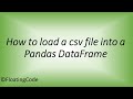 How to read a csv file into a Pandas DataFrame