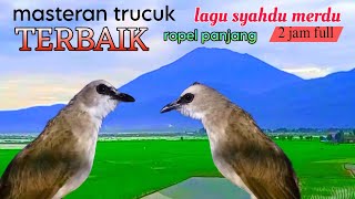 Suara trucukan gacor ropel panjang lagu sangat merdu full 2jam untuk masteran trucuk calon juara