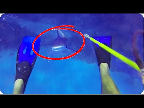 Shark ATTACKS Diver | 70 Feet Deep in Cayman Islands Shark ATTACKS Diver | 70 Feet Deep in Cayman Islands