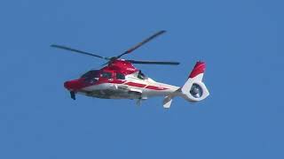 CBCのJA005C（Airbus Helicopters AS365N3+ Dauphin 2 中日本航空 ※AS65）低空高速飛行で家の前を通過2024年5月9日（木）【愛知県警航空隊に協力？】