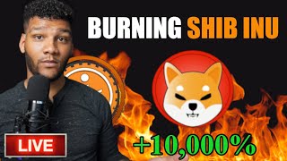 I Just Burned 19,400,000 #SHIB & Increased The Shiba Inu Coin Burn Rate By 10,000%!!!