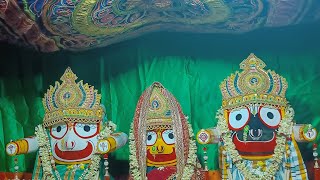 Nila Chakre bana Uduthau 🙏#bhajansandhya #jagannathbhajan #jagannath #bhajanlover #odiabhajan