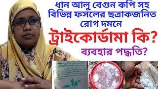 ট্রাইকোডার্মা কি।। ট্রাইকোডার্মা ব্যবহার পদ্ধতি।।জৈব ছত্রাক নাশক