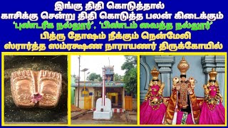 நென்மேலி லட்சுமி நாராயணப் பெருமாள் கோவில்-செங்கல்பட்டு / Nenmeli Sradha samrakshana Perumal Temple