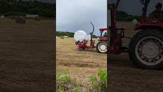 西表島　牧草ロールのラッピング