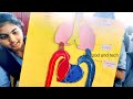 science project exhibitionin bhashyam school.ongole ongole projectworkforkids rkfoodandtech