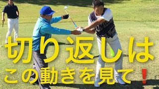 あ、わかったこれがゴルフだ！生徒さんの感覚で言いたい放題 VOL.4 切り返しにおけるクラブの落下と右肘の使い方