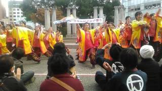 肥後真狗舞 ふくこいアジア祭り2014 天神中央公園会場