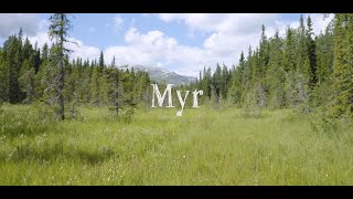 Naturtyper i Norge: Myr