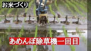 新潟お米農家　あめんぼ除草機一回目