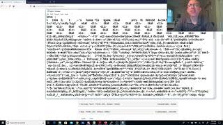 pico2019 extensions