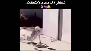 شكل الطلاب اخر يوم الامتحانات _ حالات واتساب 📚📚