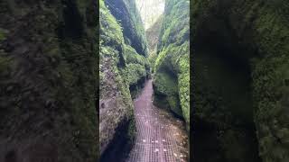 Beautiful places to visit in Germany | Dragon Gorge #germany #youtubeshorts